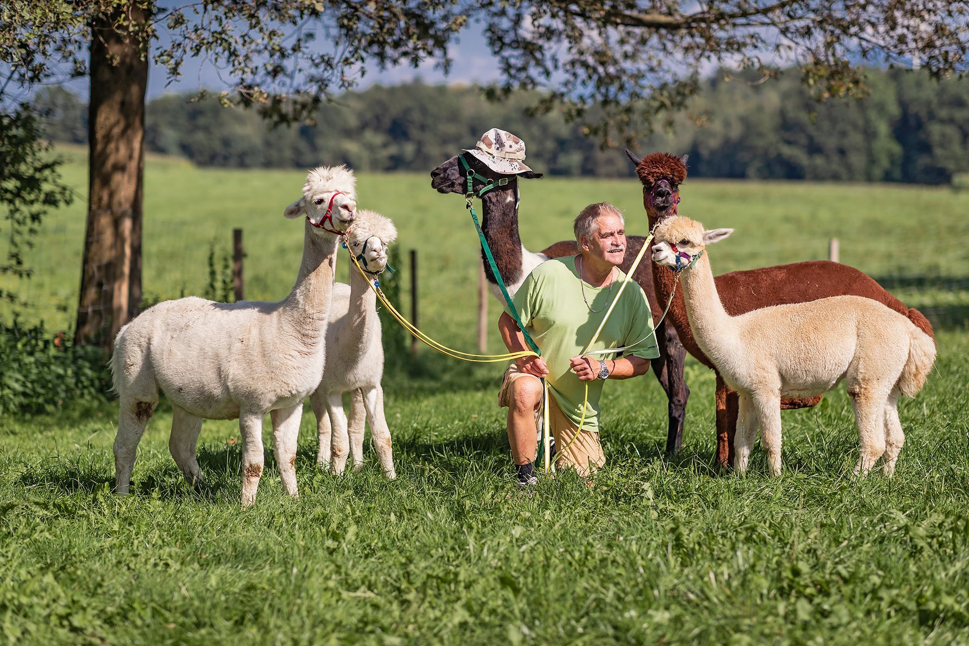 Peter Emmerling kniet inmitten einer Gruppe von Alpakas und einem Lama.